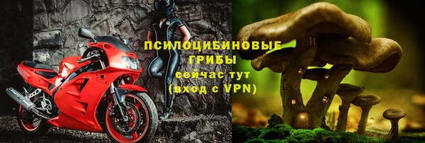 МДПВ Аркадак
