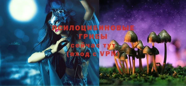 молекула духа Армянск