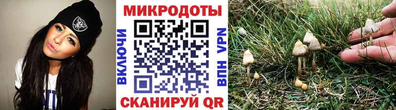 Псилоцибиновые грибы GOLDEN TEACHER  Палласовка 