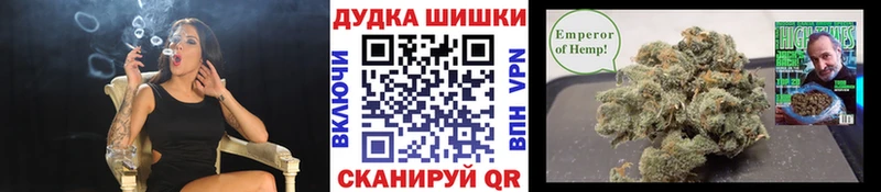 Каннабис OG Kush  Палласовка 